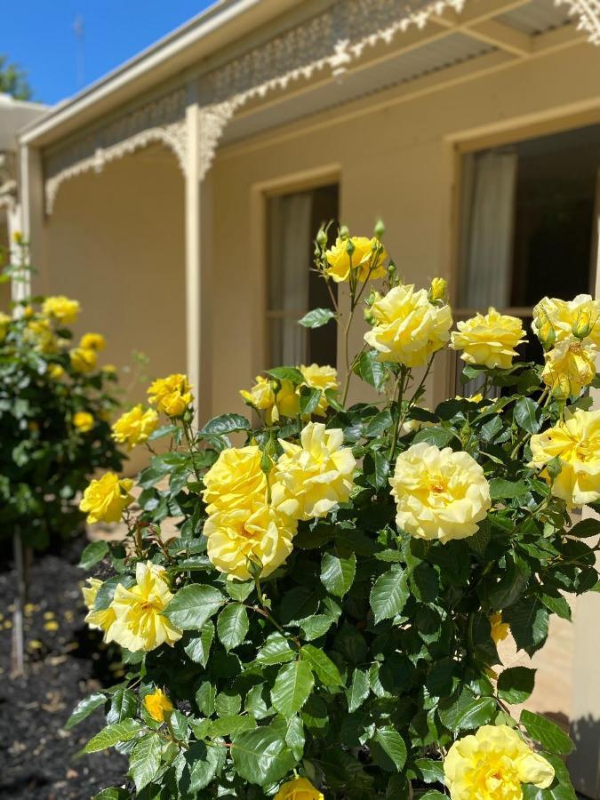Acacia Terraces Aparthotel Echuca Luaran gambar
